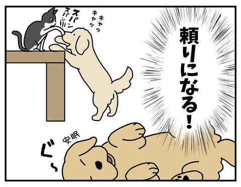 07