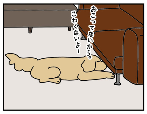 95C5FB7A-66FB-40A9-B9A6-EC2963927975_1_105_c