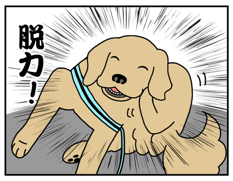 牛歩06