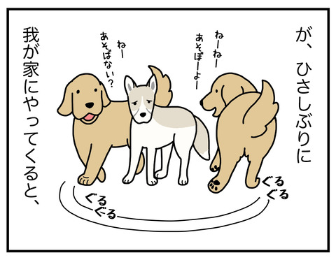 これは一体なに04