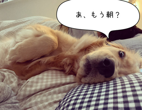 それぞれの起こし方写真