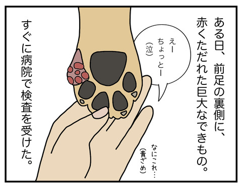 ダイエット02