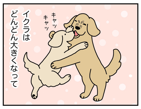 04