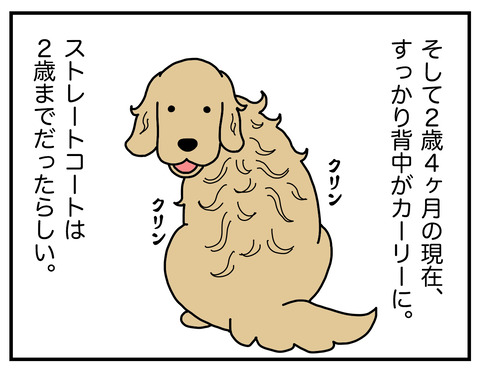 カーリー06