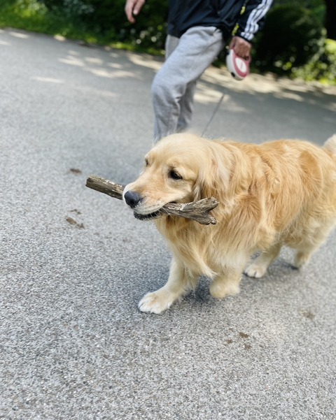 C1A504DA-87EE-4DD2-8A60-F02968A9A477_1_105_c