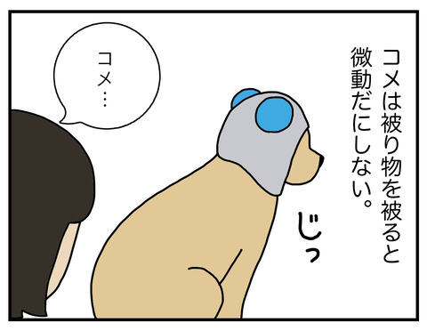 かぶりもの2_06