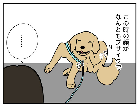 牛歩05