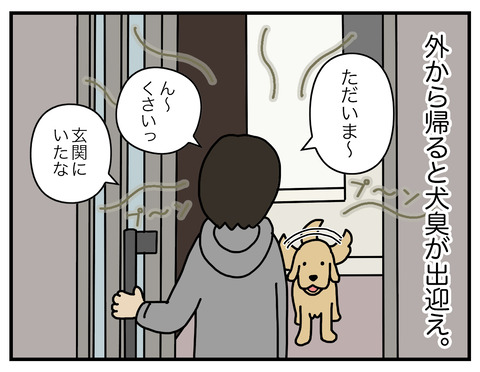 玄関犬臭03