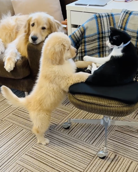 スクリーンショット 2024-06-01 13.50.52