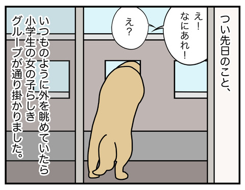 初めての洗礼01