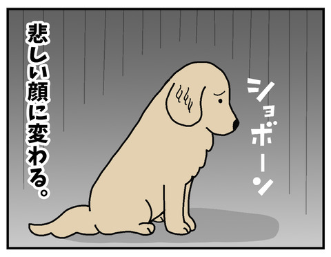 05 のコピー
