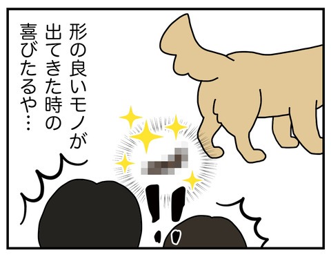 全米が泣いた04