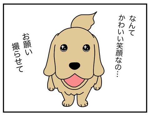 真面目犬06