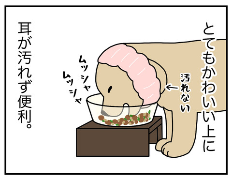 耳の長い犬05