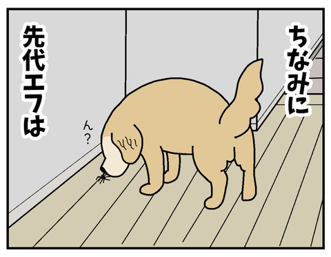 06b