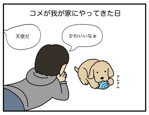 天才コメ01