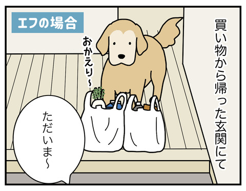 エフとコメの違い01