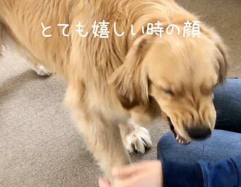 笑顔