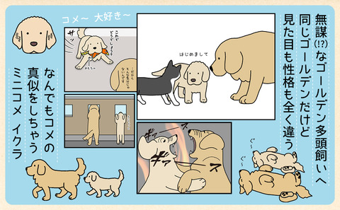 20260902_amazon4