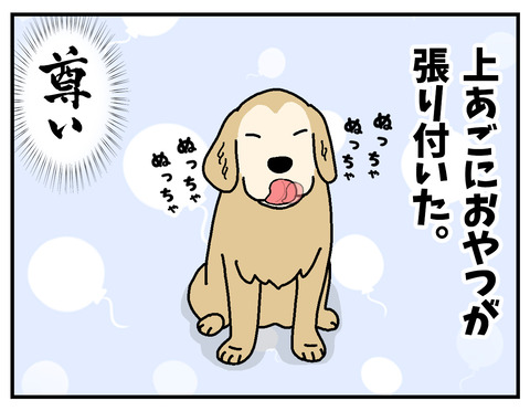 04b