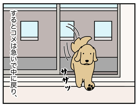 初めての洗礼05