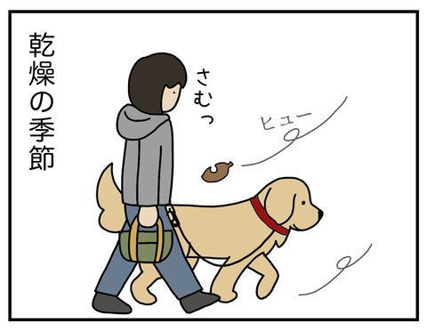 乾燥の季節02
