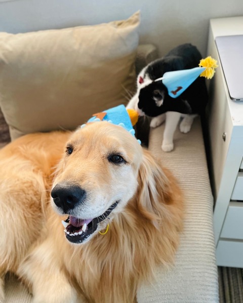 FC53A7B5-4439-48A3-AD86-6933E67FCE82