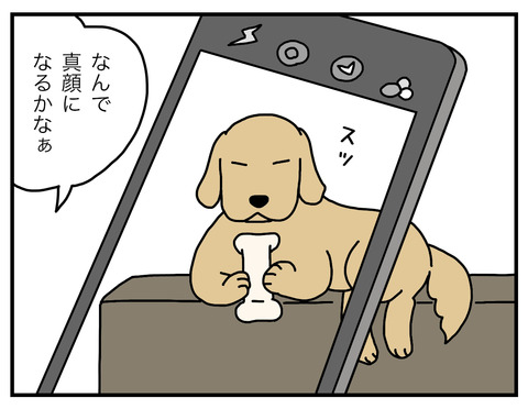 真面目犬02