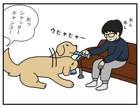 真面目犬03