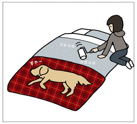 コロコロ04