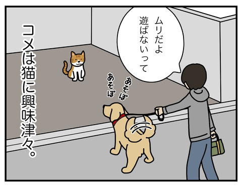 野生の本能01