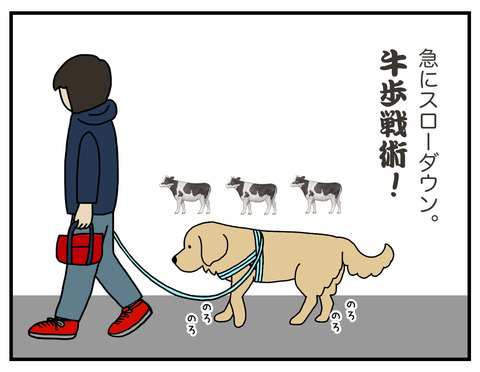 牛歩02