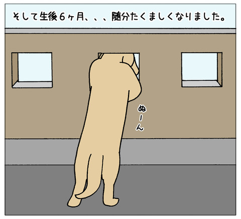 成長06