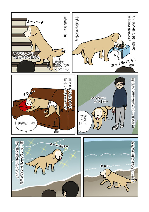 エフの旅立ち03