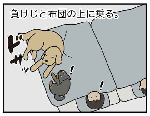 一応やきもち03
