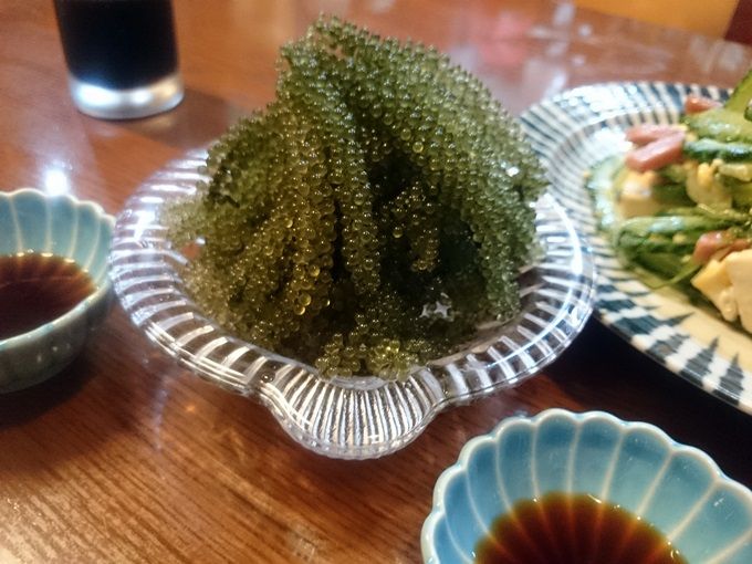 めんそーれ 長浜で本格沖縄料理を夕食に 長浜黒壁 滋賀県長浜黒壁スクエアの気になるお店 めんそーれ 長浜で本格沖縄料理を夕食に 長浜黒壁 滋賀県長浜黒壁スクエアの気になるお店