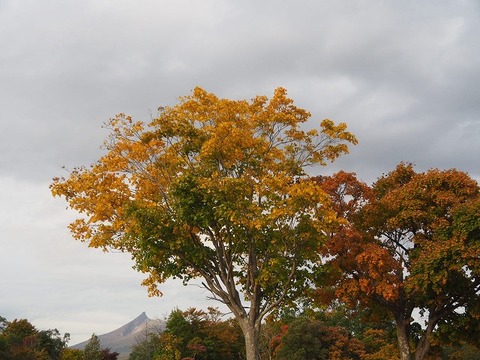 北海道旅行20251025_152419K0433