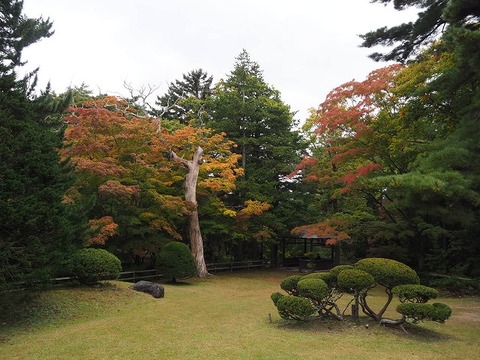 北海道旅行20251026_105820K0680