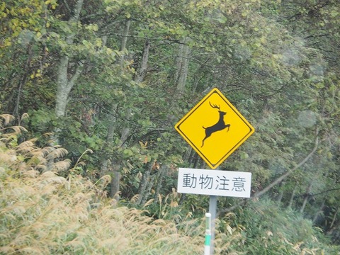 北海道旅行20251023_134222K0025