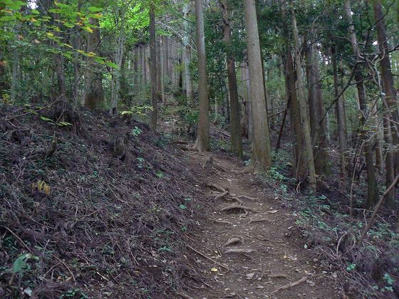 イメージ 3
