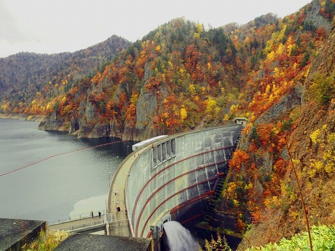 北海道旅行20251024_143938K0223rr