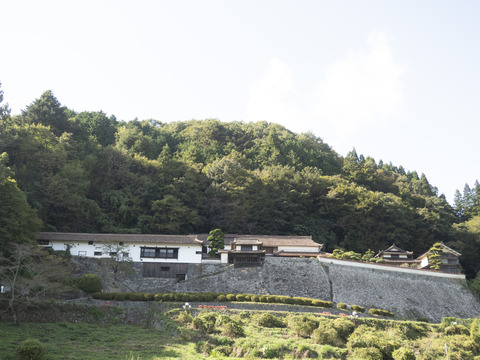 倉敷旅行20231005_143136P053820230610photoshop強化_1