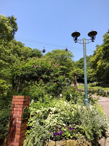 神戸旅行20230516_101717S0011