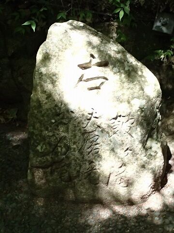 神戸旅行20230517_134743P0125ブログ