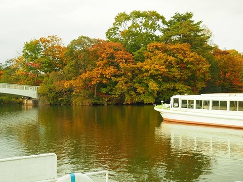 北海道旅行20251025_152616K0436