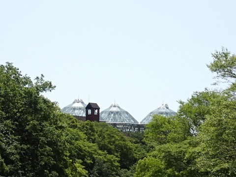 神戸旅行20230516_101539T0019