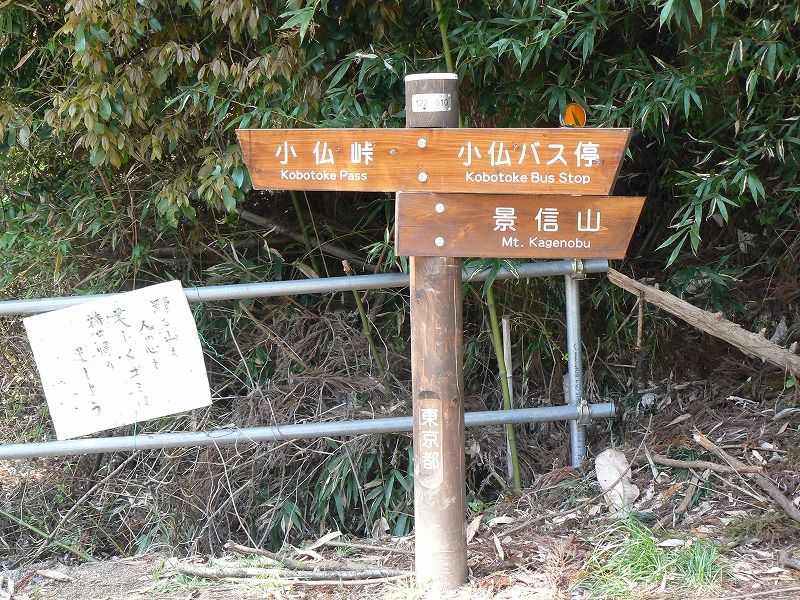 イメージ 17