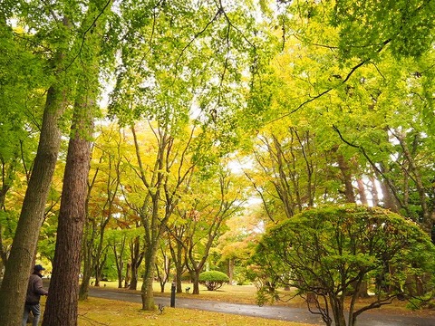 北海道旅行20251026_104637K0657