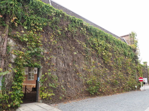 倉敷旅行20231006_080628P0606