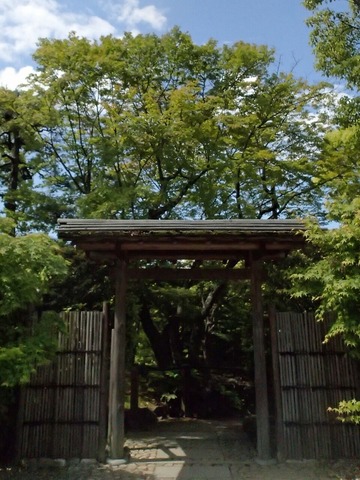 神戸旅行20230515_100919T0033ブログ